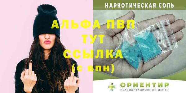 ГАЛЛЮЦИНОГЕННЫЕ ГРИБЫ Корсаков