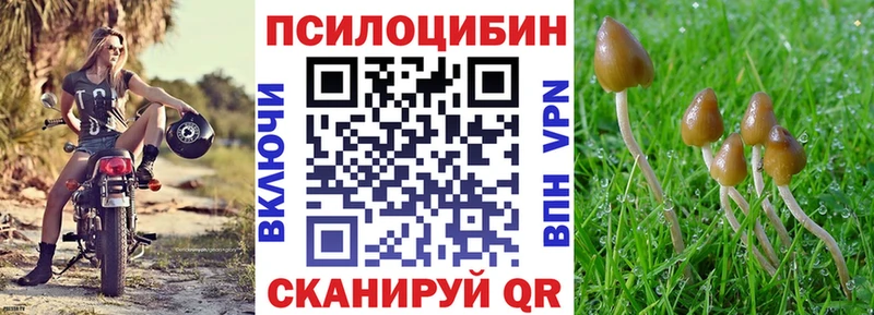 Галлюциногенные грибы Psilocybine cubensis  blacksprut рабочий сайт  Нефтекумск 